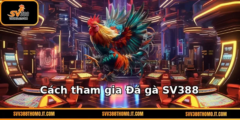 Cách tham gia Đá gà SV388