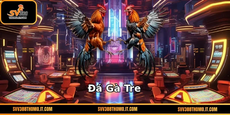 Đá Gà Tre – Sân Chơi Giải Trí Truyền Thống Tại SV388