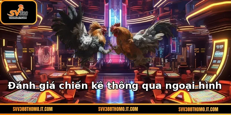 Đánh giá chiến kê thông qua ngoại hình