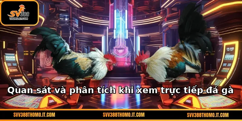 Quan sát và phân tích khi xem trực tiếp đá gà