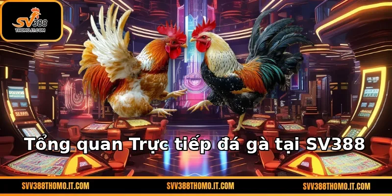 Tổng quan Trực tiếp đá gà tại SV388