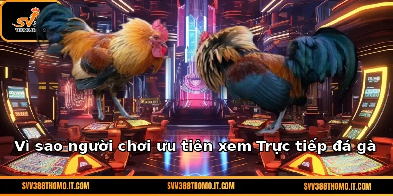 Vì sao người chơi ưu tiên xem Trực tiếp đá gà