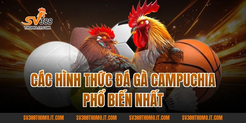 Các Hình Thức Đá Gà Campuchia Phổ Biến Nhất