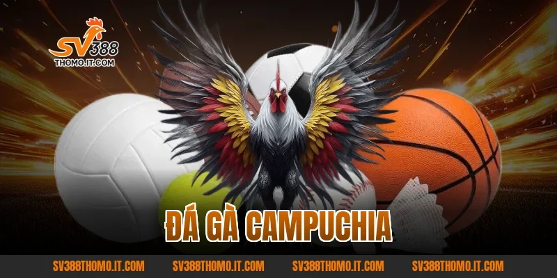 đá gà campuchia