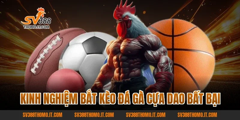 Kinh Nghiệm Bắt Kèo Đá Gà Cựa Dao Bất Bại