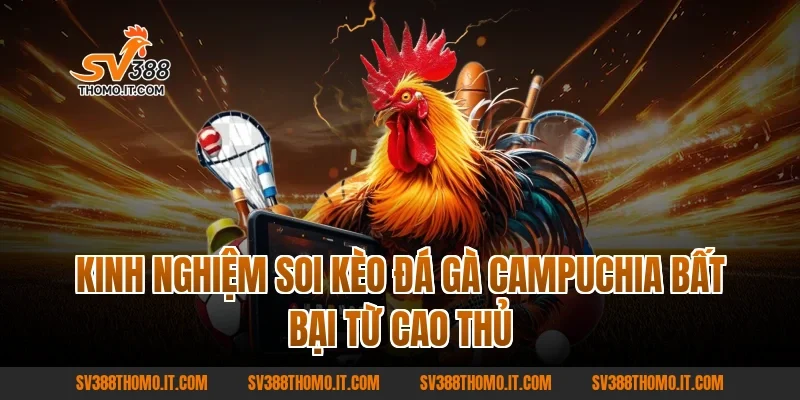 Kinh Nghiệm Soi Kèo Đá Gà Campuchia Bất Bại Từ Cao Thủ