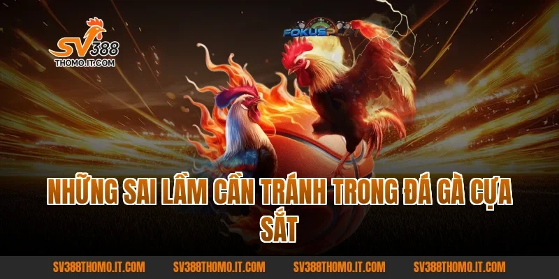 Những Sai Lầm Cần Tránh Trong Đá Gà Cựa Sắt 