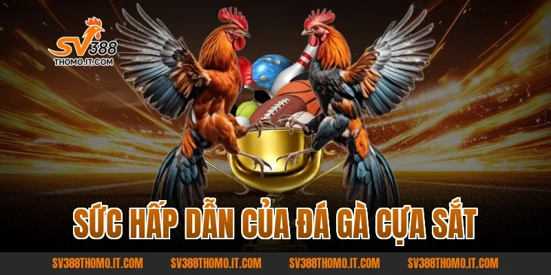 Sức Hấp Dẫn Của Đá Gà Cựa Sắt