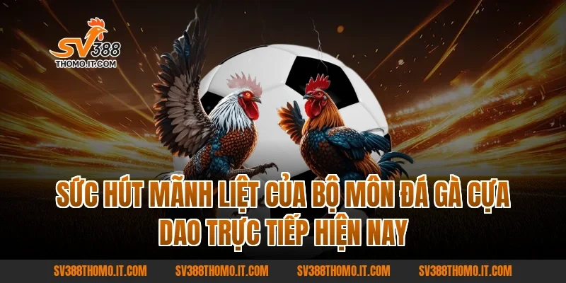 Sức Hút Mãnh Liệt Của Bộ Môn Đá Gà Cựa Dao Trực Tiếp Hiện Nay